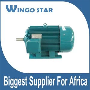 고품질 Y 시리즈 주철 삼상 유도 전동기